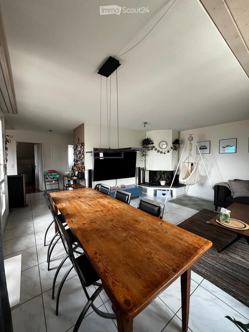 Open-plan living and dining area with a wooden dining table, black dining chairs, a sofa, coffee table, fireplace, TV, and a hanging chair.