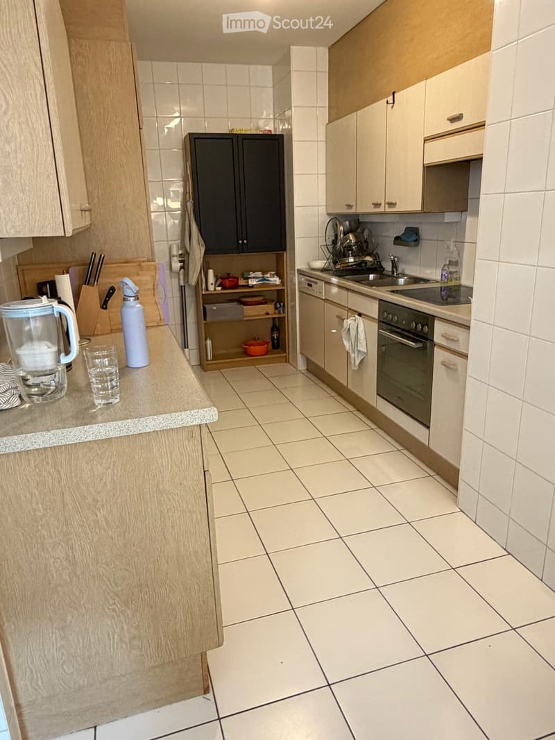 Spacious 4 piece apartment with balcony in the heart of Plainpalais (4)