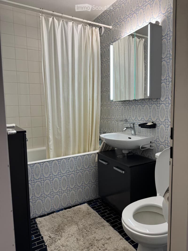 Modern bathroom with blue and white patterned tiles, a white sink with a modern faucet, a toilet, a large mirror, a black bathroom cabinet, a shower curtain, and a fluffy rug on the floor.