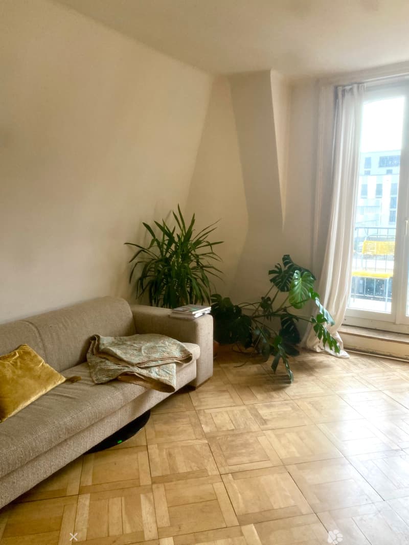 A cozy living room with a beige sofa, a yellow pillow, a blanket, and two large green plants near a large window with white curtains.