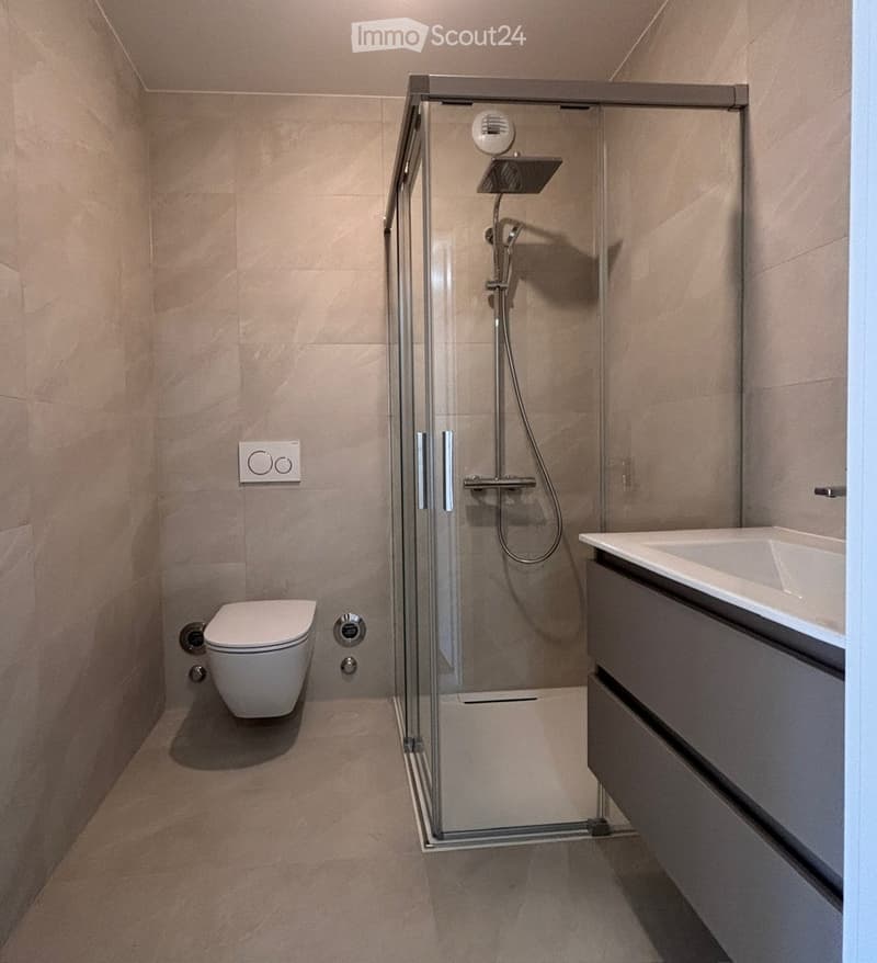 Modern bathroom with a glass-enclosed shower, a toilet, and a sink with a vanity cabinet.