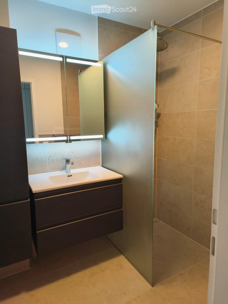 Modern bathroom with a white sink, dark wooden cabinet, large mirror with built-in lighting, and a glass-enclosed shower area.