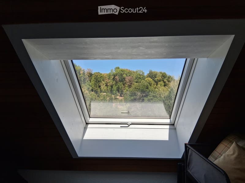 A skylight window with a view of trees and a clear blue sky, wooden walls, and a cushion visible in the corner.