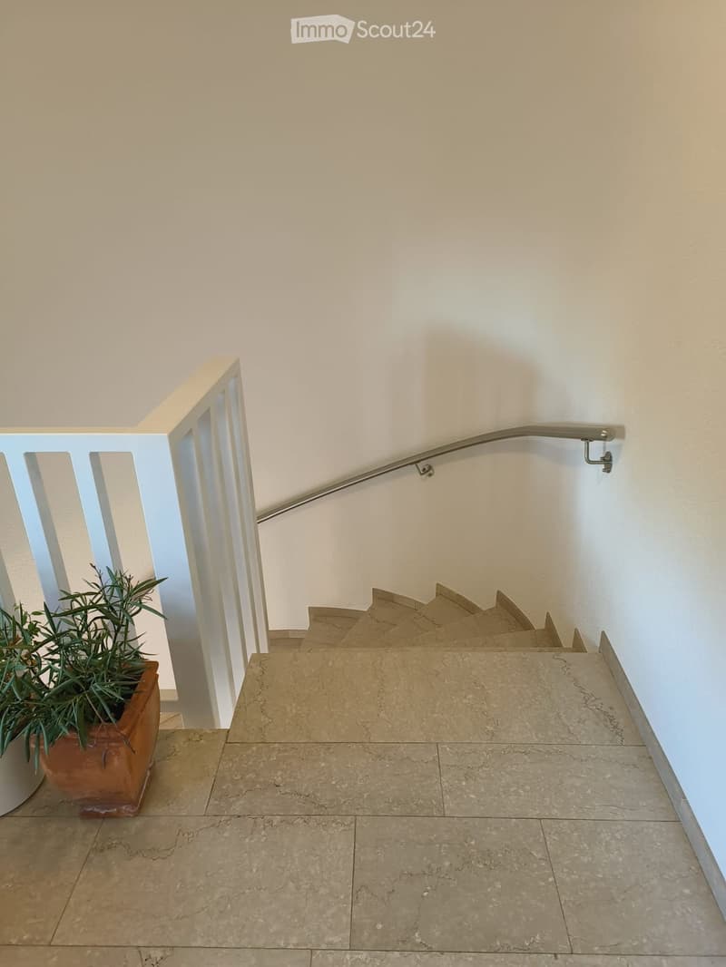 Staircase with beige tiled steps, white handrail, and a potted plant on the landing.