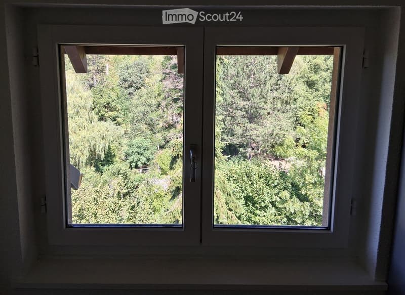 Two windows with white frames and glass panes, offering a view of a lush green forest and trees outside.