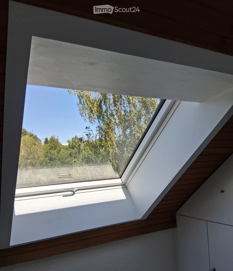 A skylight window in a room with wooden ceiling and white walls, offering a view of trees and a clear blue sky.
