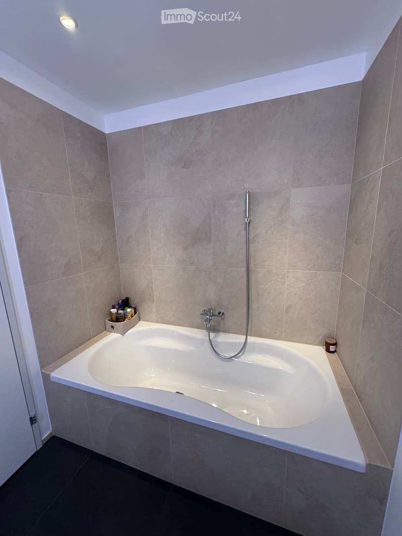 Modern bathroom with a large, curved bathtub, a handheld shower hose, and a small basket with toiletries on the edge of the tub.
