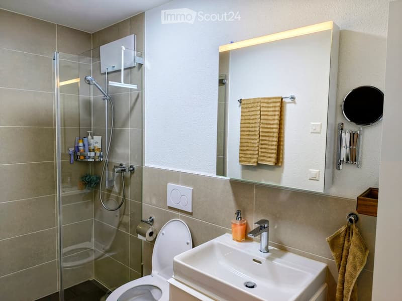 Modern bathroom with a glass-enclosed shower, toilet, sink, and illuminated mirror. Includes towels, toiletries, and a small plant in the shower area.