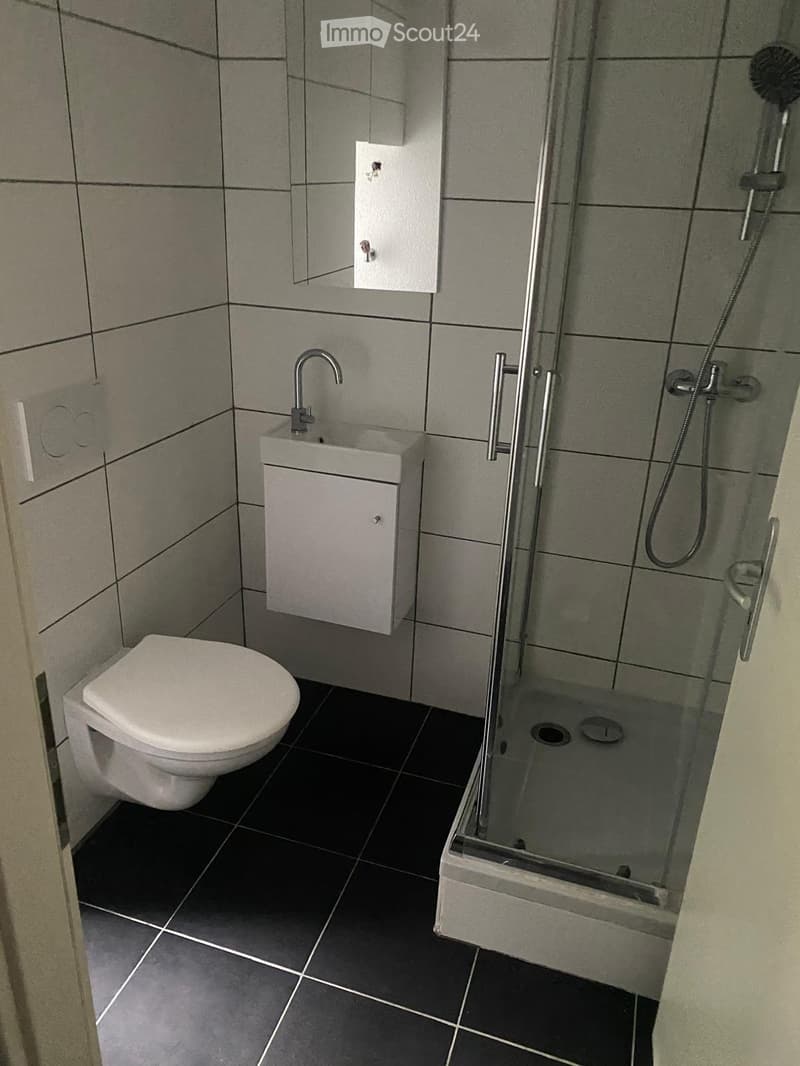 Modern bathroom with grey tiles, a toilet, a sink with a mirror, and a glass-enclosed shower area.