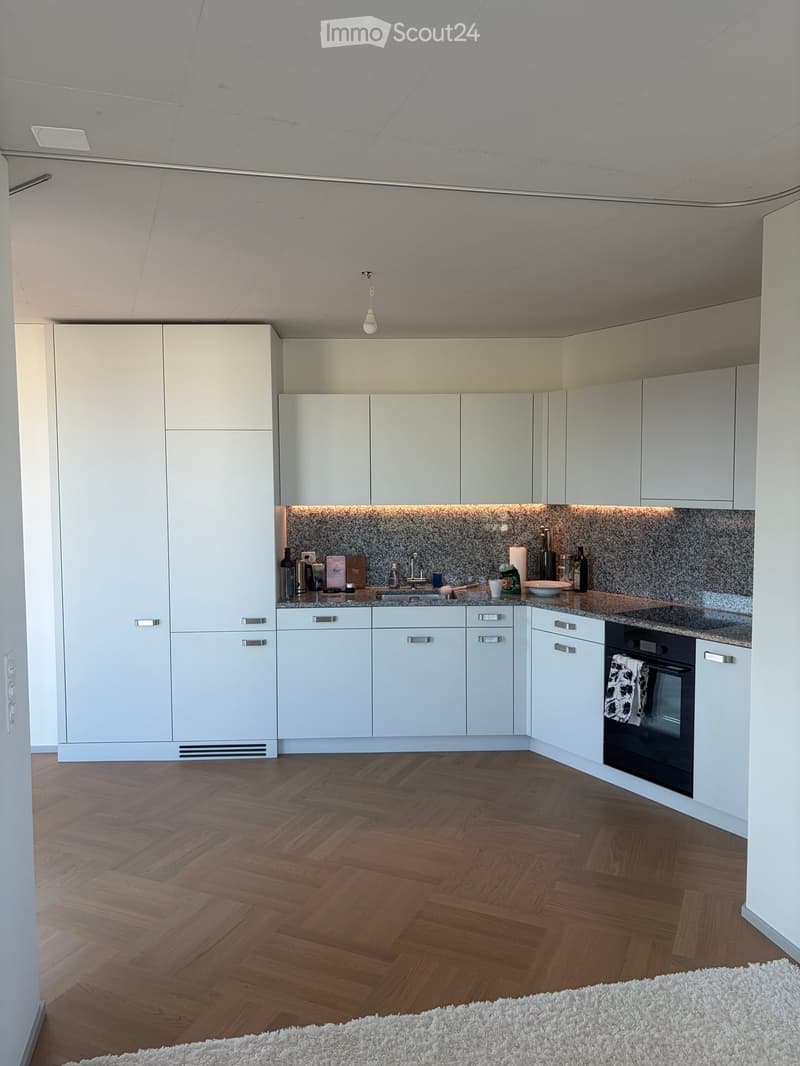 Modern kitchen with white cabinets, wooden herringbone flooring, and a granite backsplash. Features a sink, oven, and various small items on the counter.