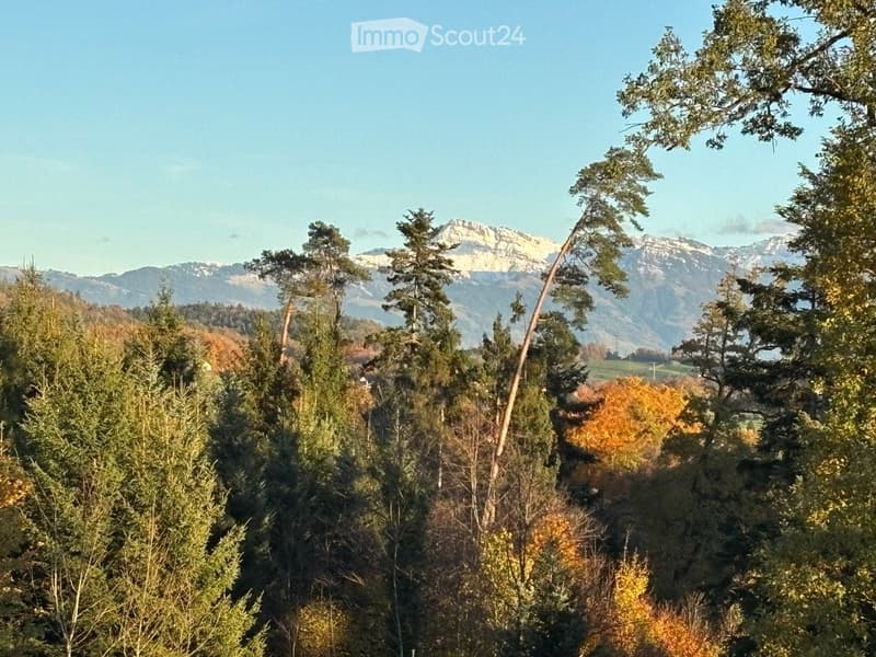 A panoramic view of a forested area with tall trees and distant mountains under a clear blue sky.