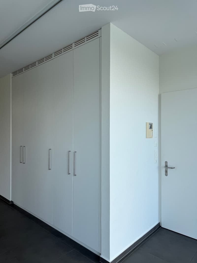 Modern hallway with white built-in storage units, dark tiled floor, and a white door at the end.