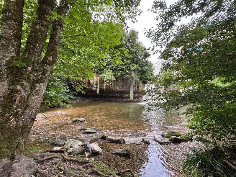 A serene outdoor area featuring a small stream with rocks and trees lining the banks, creating a natural and tranquil setting.