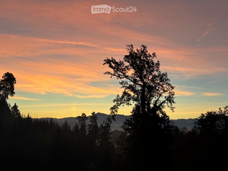 A serene outdoor scene at sunset, featuring a vibrant sky with hues of pink, orange, and yellow, silhouetted trees in the foreground, and distant mountain ranges.