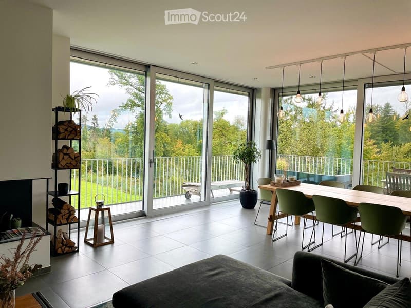 Bright living and dining area with large sliding glass doors opening to a balcony, featuring a grey sofa, dining table with green chairs, fireplace, and decorative shelves with logs and plants.