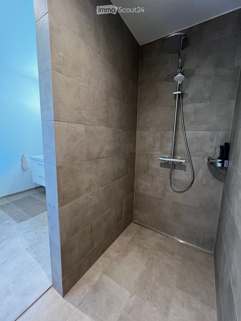 Modern bathroom with a walk-in shower, tiled walls and floor, and a sleek showerhead with handheld sprayer.