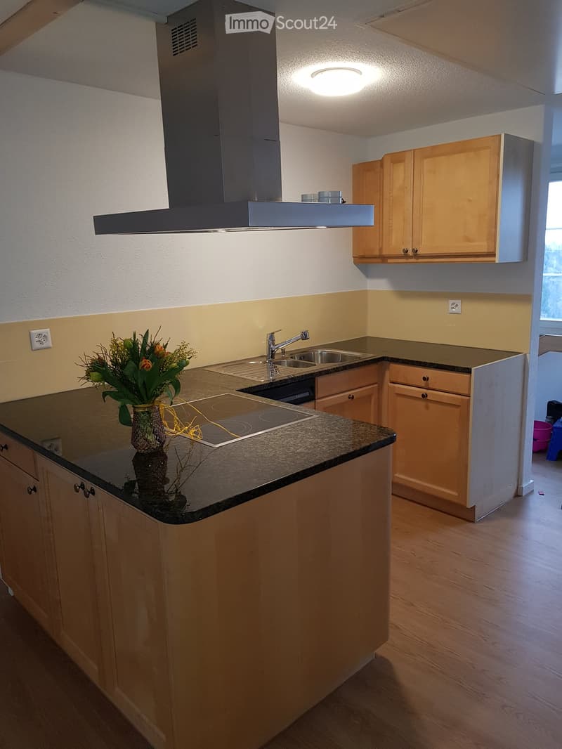 Modern kitchen with light wooden cabinets, granite countertop, induction cooktop, sink, and a vase with flowers on the counter.