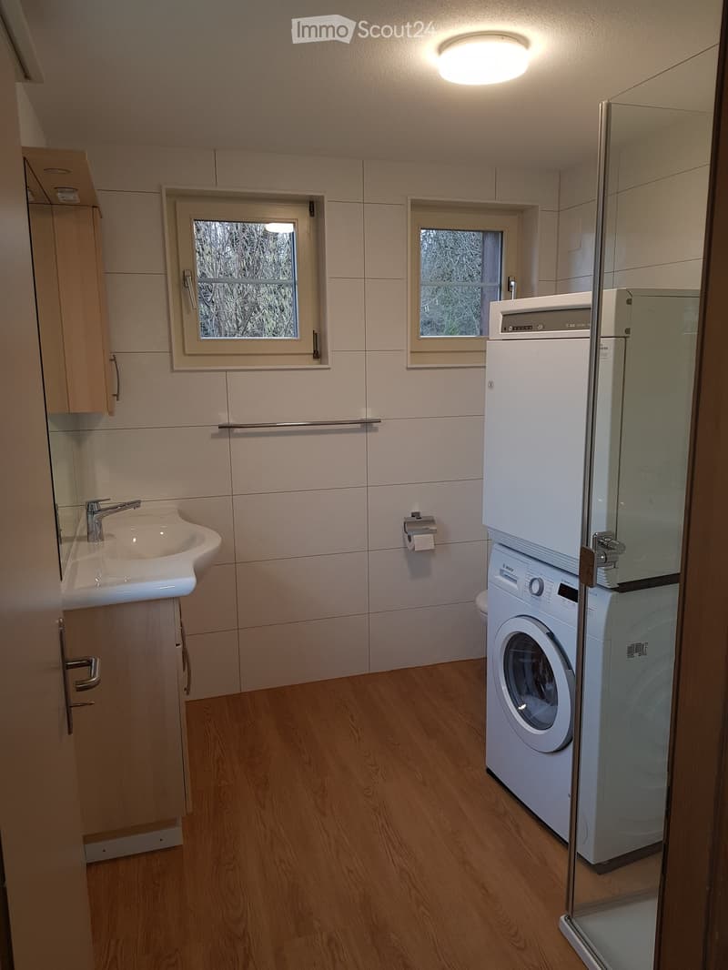 Bathroom with wooden flooring, white tiled walls, a sink with a faucet, a washing machine, and a toilet paper holder. Two windows provide natural light.