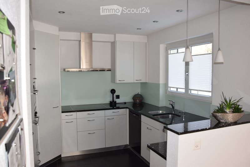 Modern kitchen with white cabinets, black countertops, stainless steel sink, range hood, and pendant lights. Features a potted plant on the counter.
