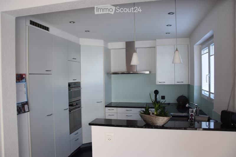 Modern kitchen with white cabinets, black countertops, stainless steel appliances, and pendant lights. Features a sink, faucet, and a small plant on the counter.
