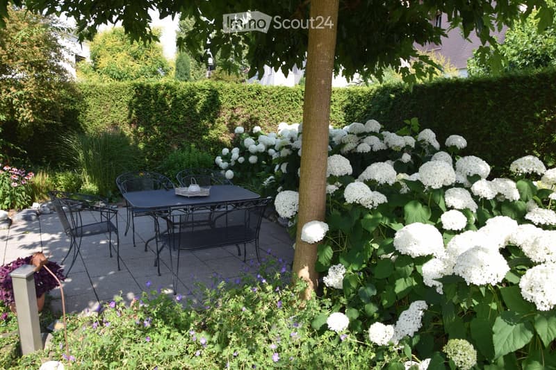 Garden with a patio area featuring a black metal table and chairs, surrounded by lush greenery and blooming white hydrangeas.