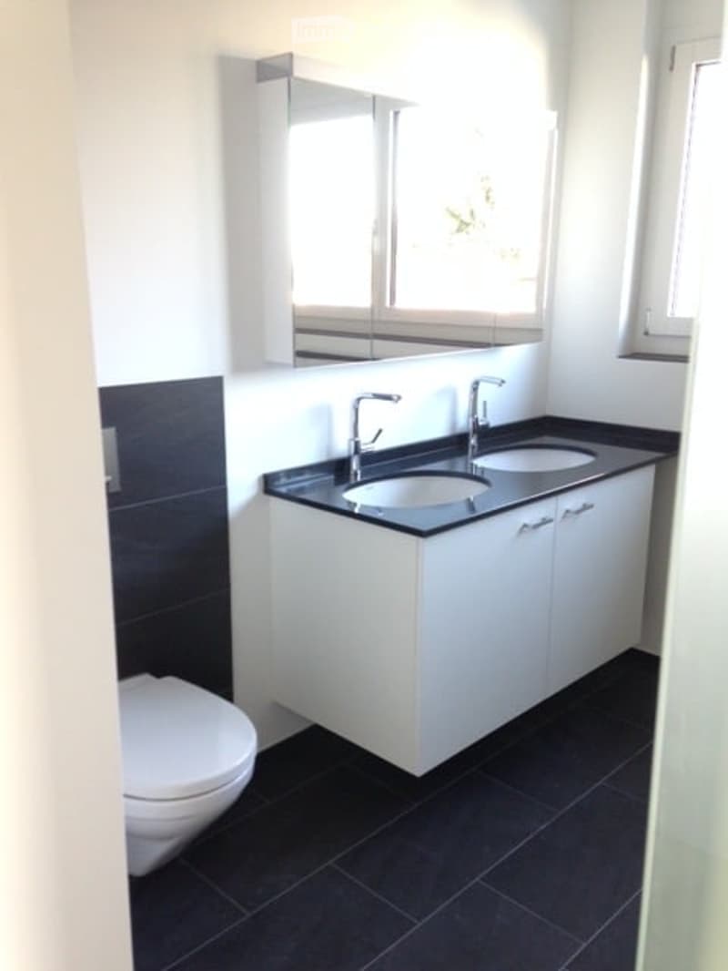 Modern bathroom with white walls, black tiles, double sink, mirror, and toilet.