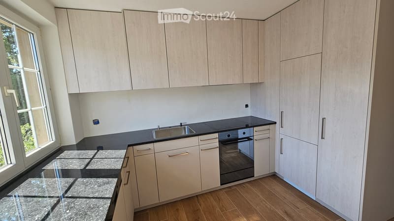 Modern kitchen with light wood cabinets, stainless steel sink, and built-in oven. Features a large window and wooden flooring.