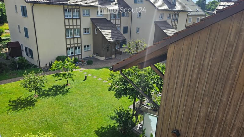 Well-maintained lawn with small trees and shrubs, surrounded by residential buildings with traditional architecture and tiled roofs.