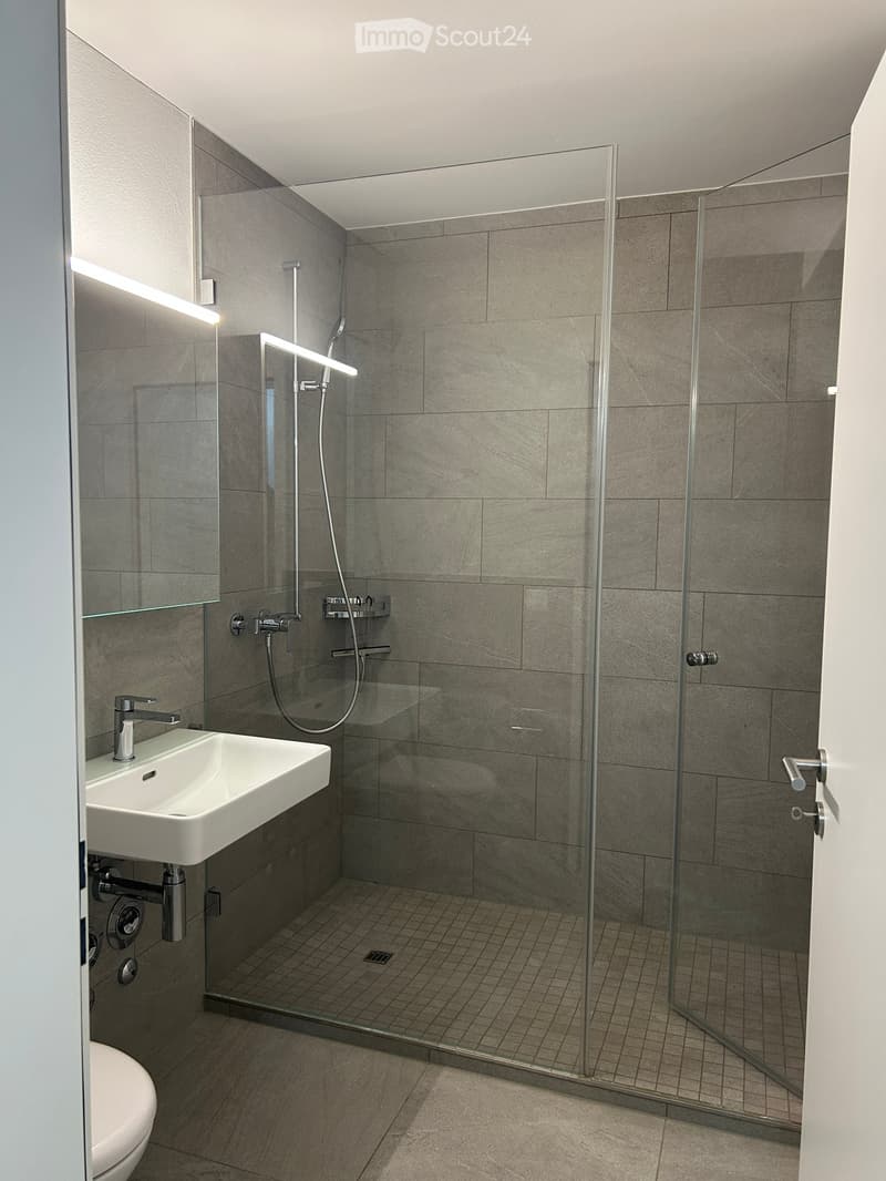 Modern bathroom with a white sink, chrome faucet, glass-enclosed shower, and a toilet. The walls are tiled in gray, and the floor is tiled in light beige.