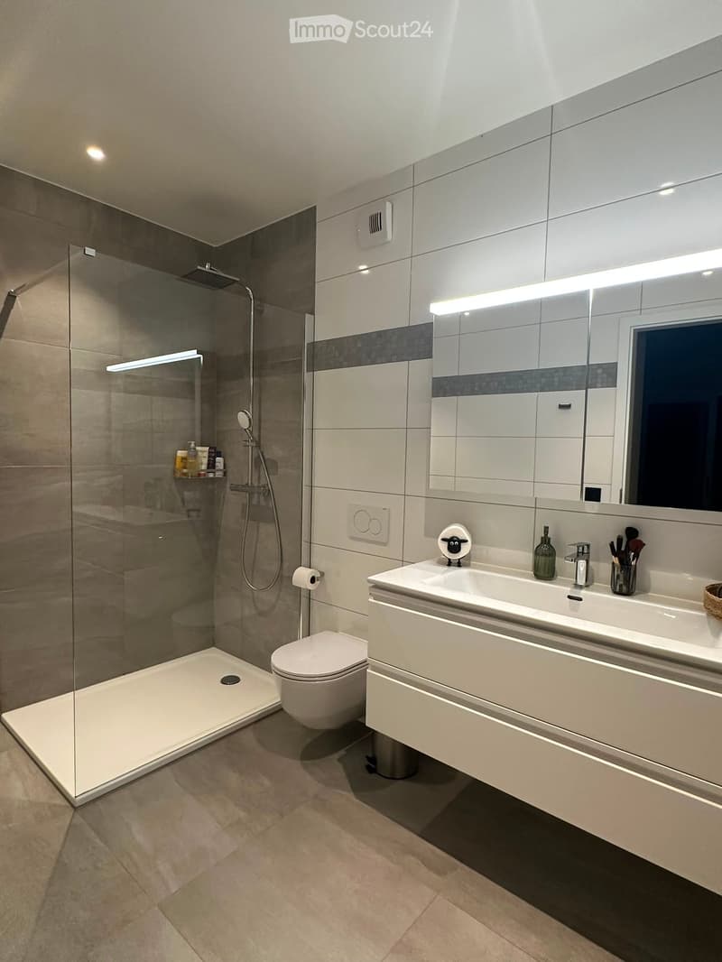 Modern bathroom with a glass-enclosed shower, toilet, double sink with mirror, and various toiletries.