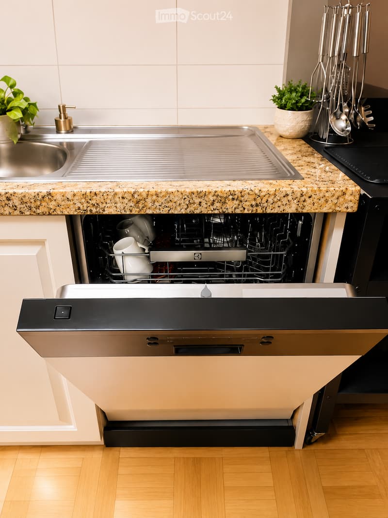 Modern kitchen with granite countertop, stainless steel sink, dishwasher, and potted plants on the counter.