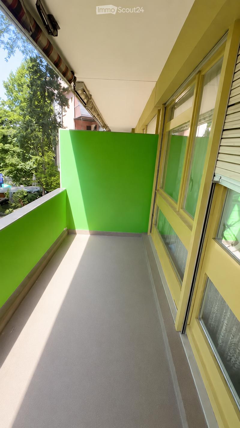 Bright hallway with green walls, carpeted floor, large windows on one side, and a view of trees outside.