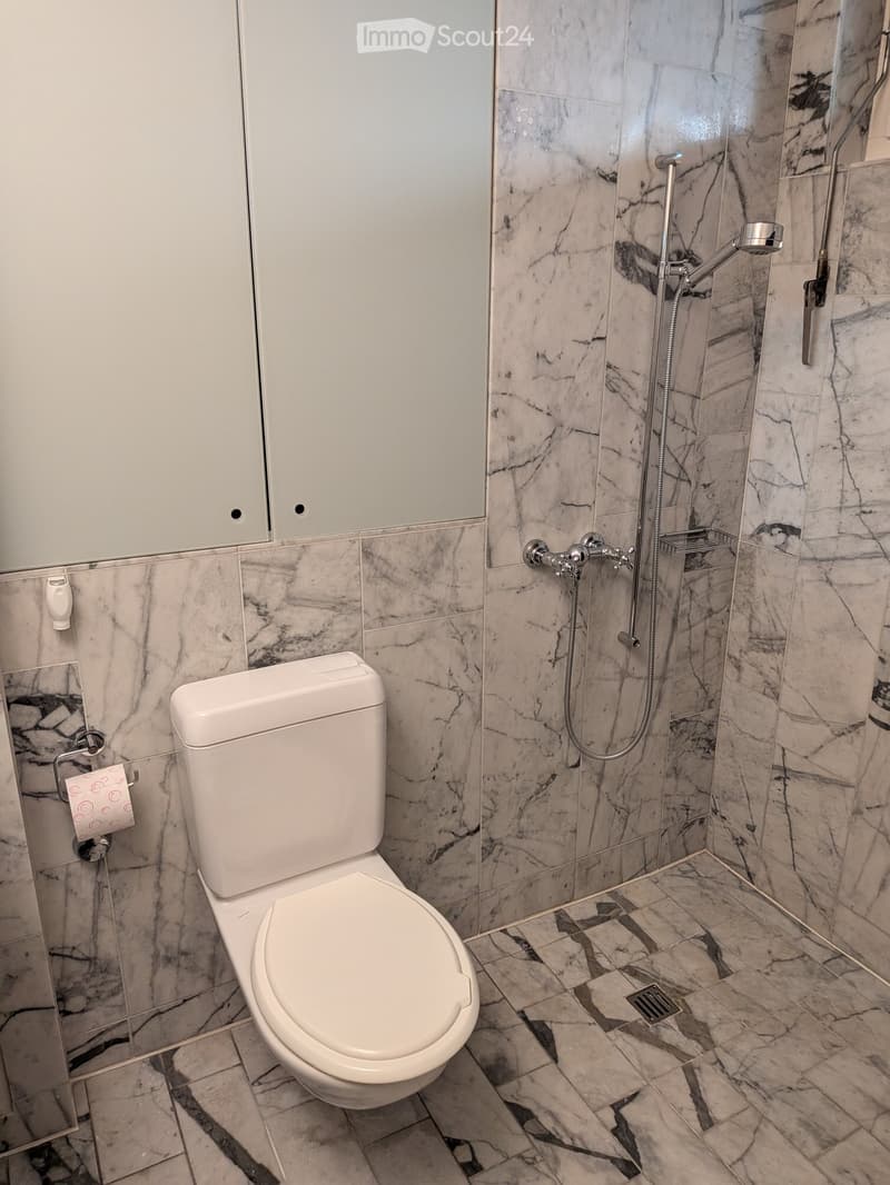 Modern bathroom with marble tiles, a toilet, a shower with a handheld sprayer, and a towel rack.