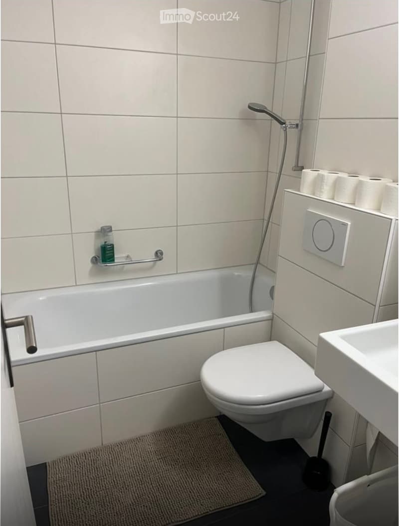 Modern bathroom with a bathtub, toilet, sink, and showerhead. Toilet paper is stacked on a shelf, and a small bottle is placed on a handrail next to the bathtub.