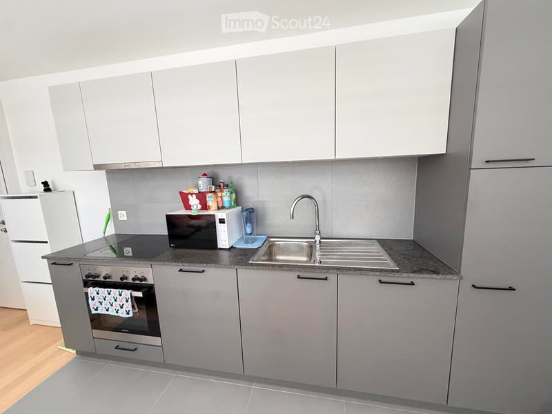 Modern kitchen with grey cabinets, stainless steel sink, microwave, and oven. Countertop has various items including a towel, containers, and a blender.