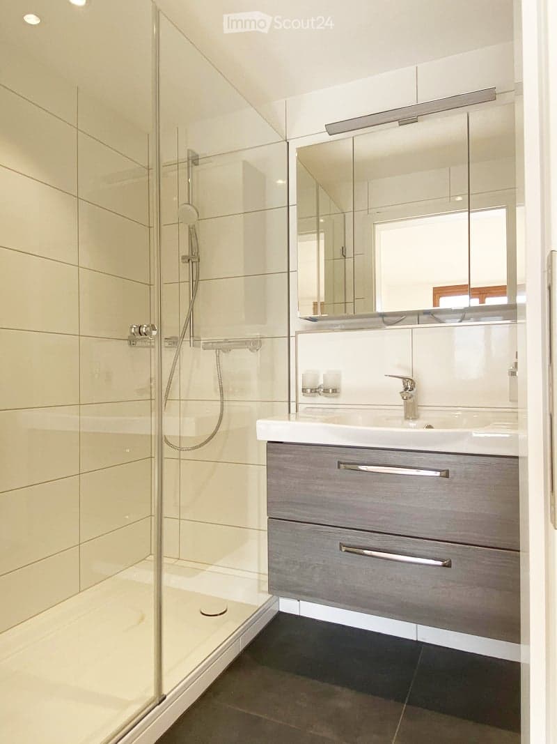 Modern bathroom with a glass-enclosed shower, a white sink with a chrome faucet, a large mirror, and a grey cabinet with silver handles.