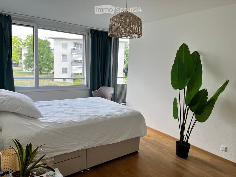 Modern bedroom with a large bed, white bedding, a wicker hanging light fixture, a potted plant, and a small chair near the window.