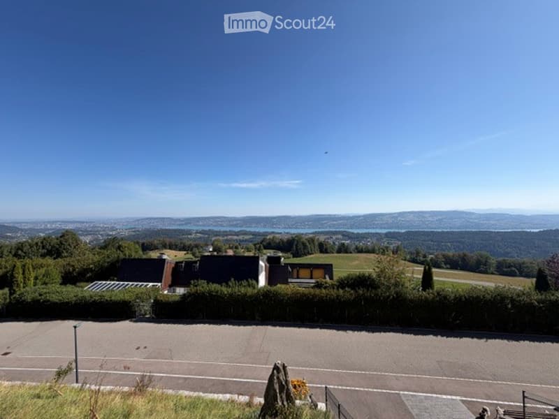 Panoramic view of a suburban area with houses, greenery, and a distant lake under a clear blue sky.