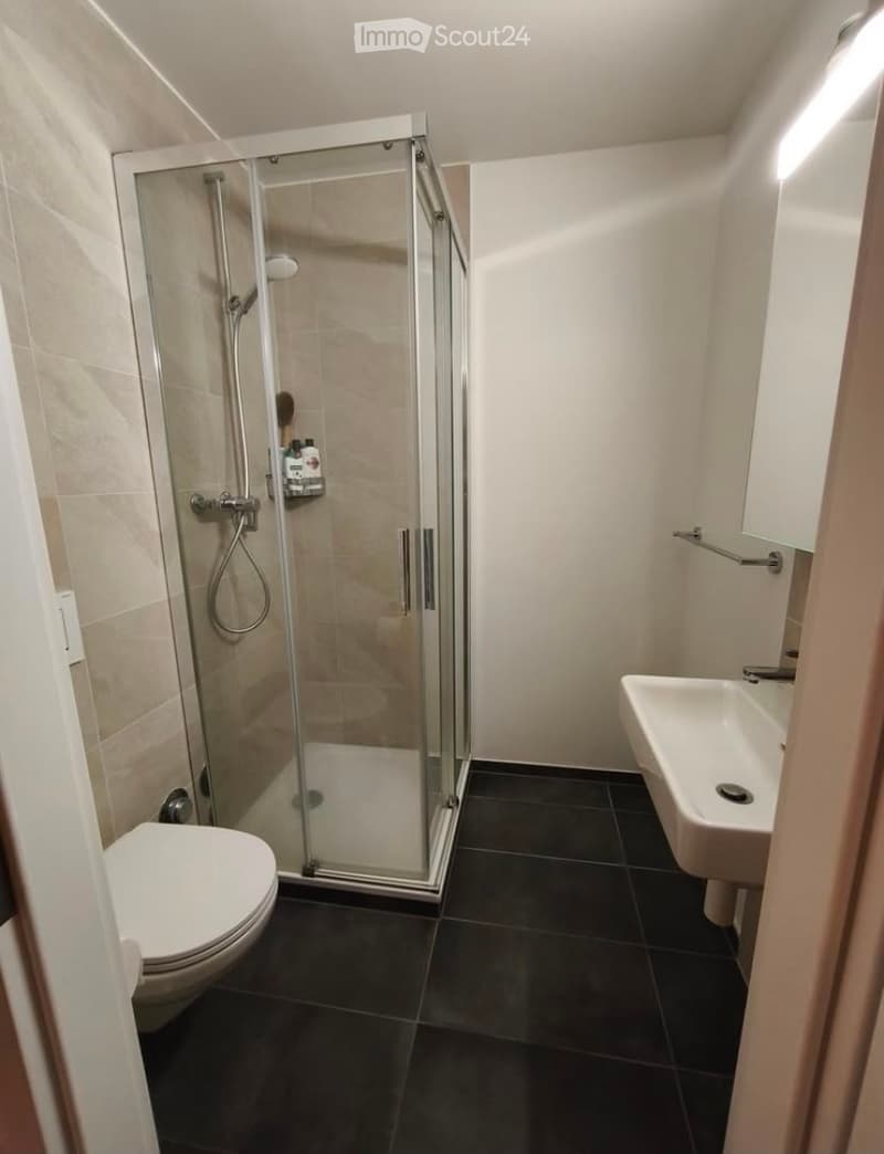 Modern bathroom with a glass-enclosed shower, toilet, sink, and towel rack. Dark tiled floor and light-colored walls.