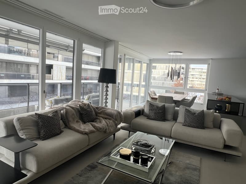 two couches, glass table, two lamp bases, dining table, two windows