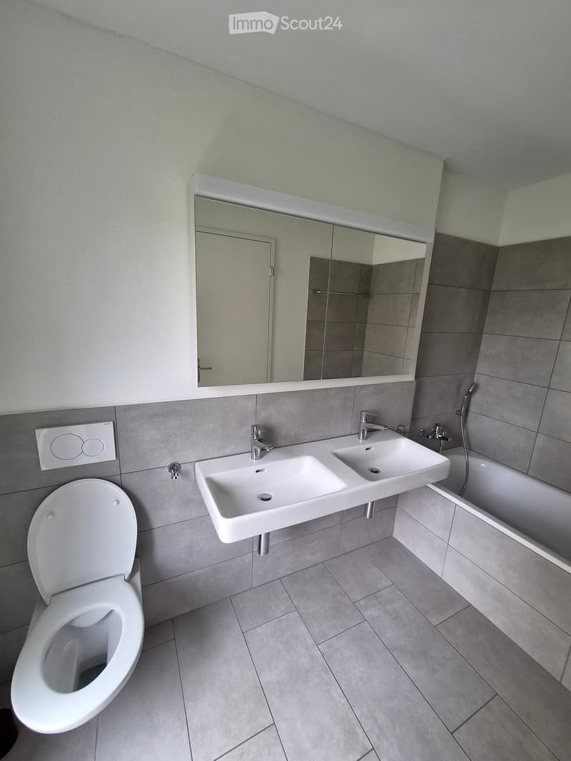 Modern bathroom with a white toilet, double sink, large mirror, and bathtub.