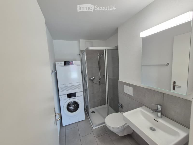Modern bathroom with a white washing machine, a glass-enclosed shower, a toilet, and a sink with a mirror cabinet above it.