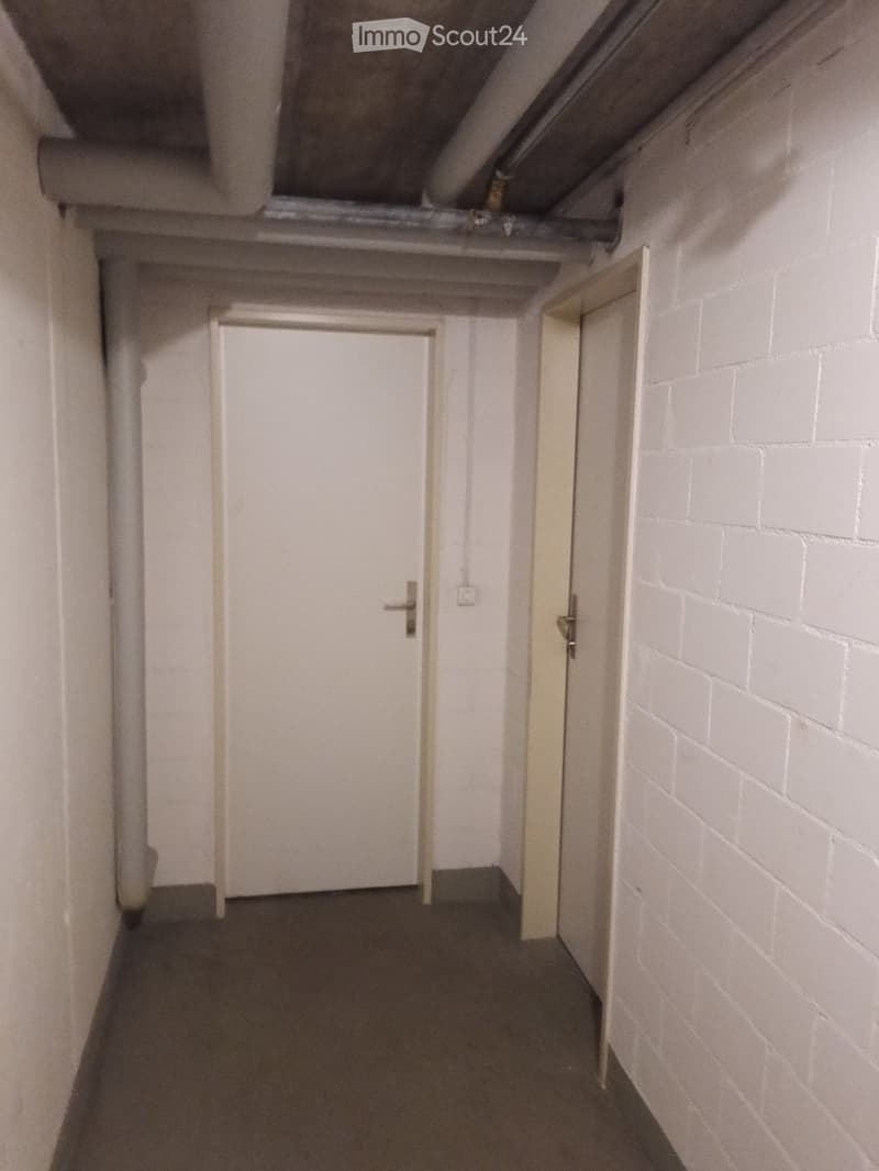 A narrow hallway with white brick walls, carpeted floor, and two white doors at the end.