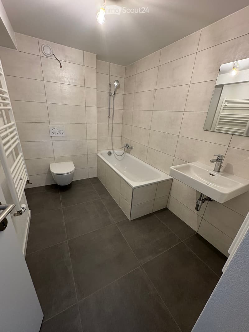 Modern bathroom with a bathtub, toilet, sink, mirror, and radiator. Features tiled walls and dark tiled flooring.