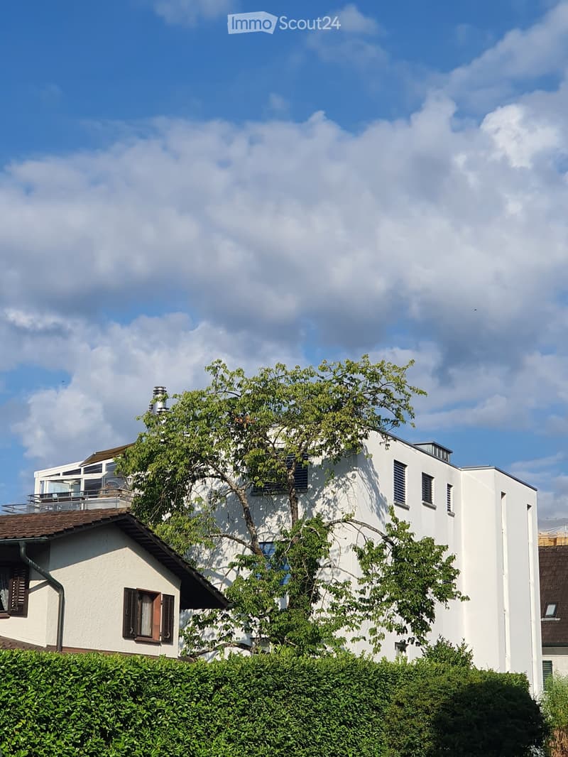 A modern two-story house with white walls, multiple windows, and a balcony on the upper level. The house is surrounded by greenery, including a large tree and well-maintained hedges.