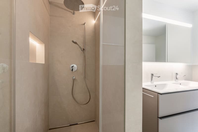 Modern bathroom with a shower area, a double sink, and a mirror.