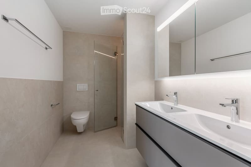 Modern bathroom with a glass shower, white toilet, double sinks, and a large mirror.