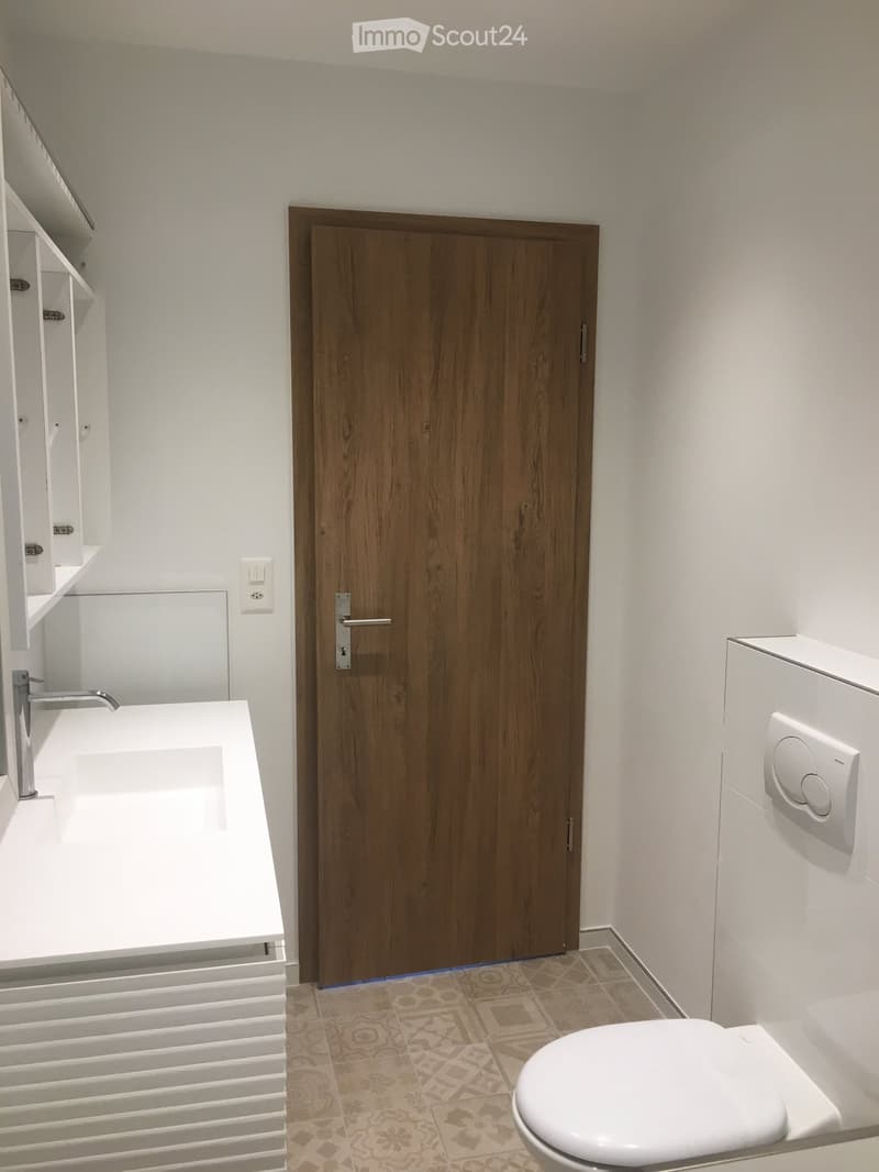 Modern bathroom with white walls, a wooden door, a white sink with a chrome faucet, a toilet, and built-in white shelves.