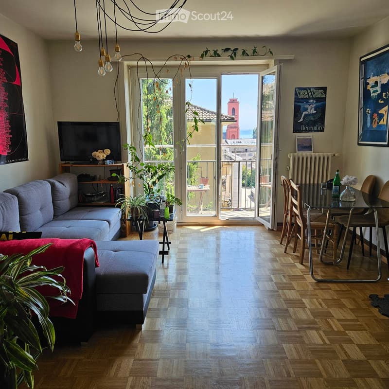 Bright living room with wooden flooring, large windows, and a balcony overlooking the city. Features a grey sofa, glass dining table with chairs, television, potted plants, and artwork.