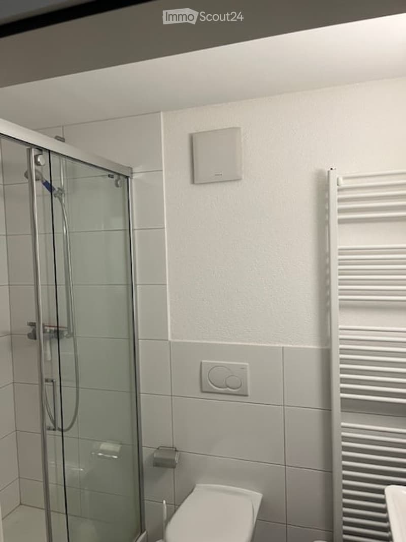 Modern bathroom with white tiles, a glass-enclosed shower, a toilet, and a white radiator. The walls are painted in a light grey color, and the ceiling is white.
